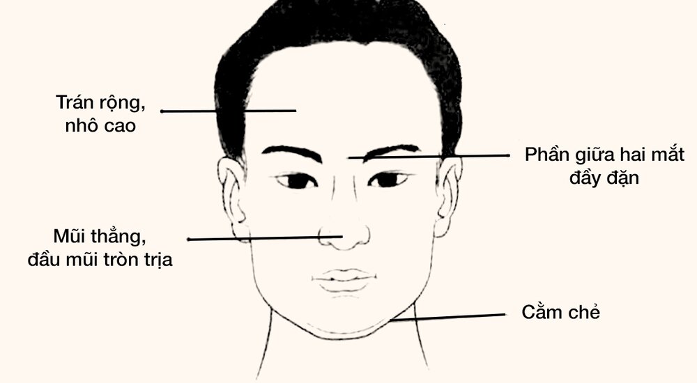 Tìm hiểu Nhân tướng học gương mặt. Nhìn mặt đoán tính cách đàn ông, phụ nữ.