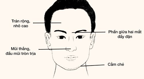Tìm hiểu Nhân tướng học gương mặt. Nhìn mặt đoán tính cách đàn ông, phụ nữ.