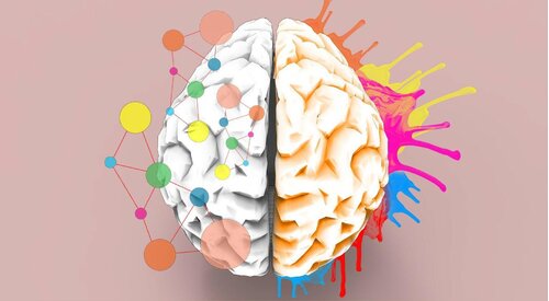 Những điều cần biết về người dùng bán cầu não phải. Đặc điểm tính cách, lợi ích trong cuộc sống.