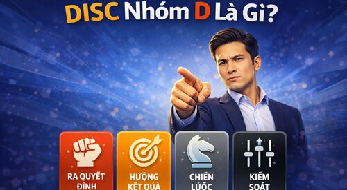 DISC Nhóm D Là Gì? Đặc Điểm, Tính Cách, Nghề Nghiệp & Cách Giao Tiếp Hiệu Quả